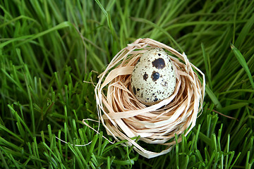 Image showing egg