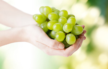 Image showing close up of woman hands holding green grape bunch