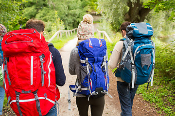 Image showing group of friends with backpacks hiking