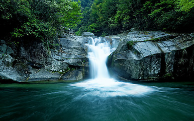 Image showing Large rain forest waterfall