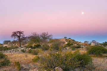 Image showing evening scenery at Kubu Island