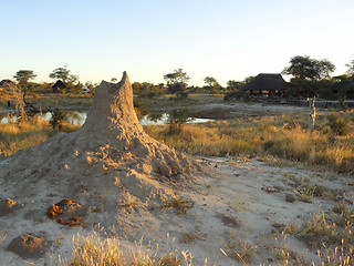 Image showing Pilanesberg Game Reserve