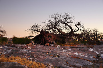 Image showing evening scenery at Kubu Island