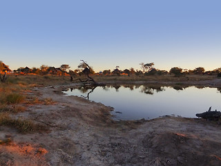 Image showing Elephant Lodge in Botswana