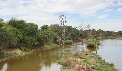 Image showing Pilanesberg Game Reserve