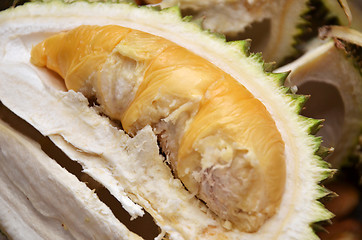 Image showing Durian fruit ripe for eaten