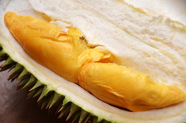 Image showing Durian fruit ripe for eaten