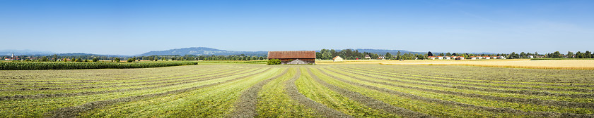 Image showing countryside