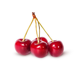 Image showing Four red ripe sweet cherries on one branch