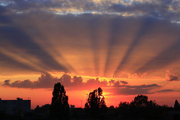 Image showing sunset above the trees