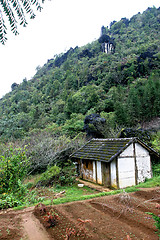 Image showing sapa