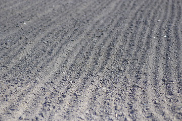 Image showing plowed land ready for planting potato