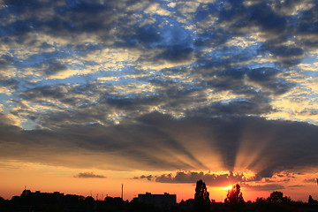 Image showing sunset above the trees