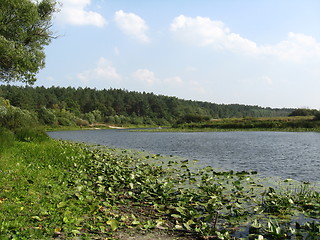 Image showing landscape with water-lilies on the river