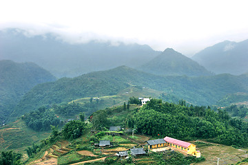 Image showing sapa