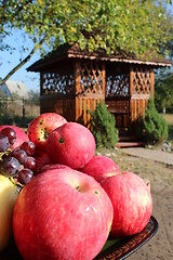 Image showing red apples on the arbor background