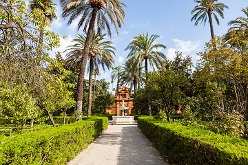 Image showing Seville Alcazar Garden