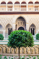 Image showing Seville Alcazar Garden