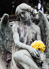 Image showing Old Cemetery statue