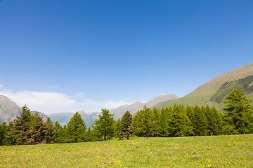 Image showing Italian Alps