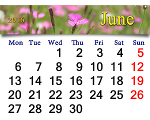 Image showing calendar for June 2016 with image of wild carnation
