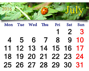 Image showing calendar for July 2016 with ladybirds on the white camomile