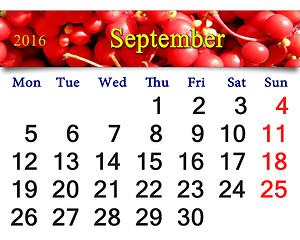 Image showing calendar for September 2016 with branch of red ripe schisandra 