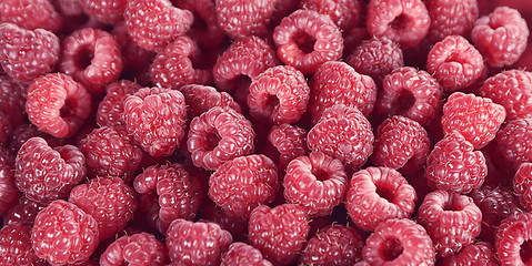Image showing Red Raspberries