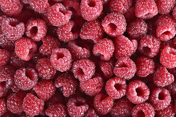 Image showing Red Raspberries