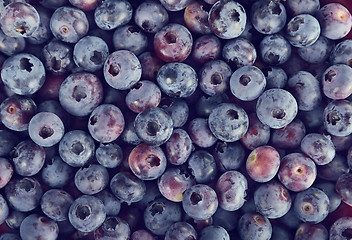 Image showing Background with Blueberries