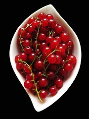 Image showing Red currants