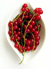 Image showing red currants