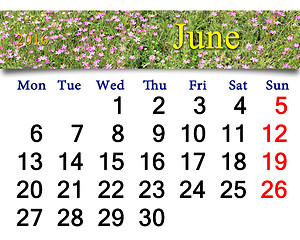 Image showing calendar for July 2016 with image of wild carnation