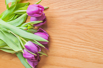 Image showing Row of multicolored tulips for border or frame