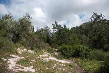 Image showing Spring season landscape