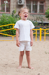 Image showing The three-year girl crying on the playground