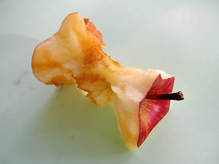 Image showing Applecore