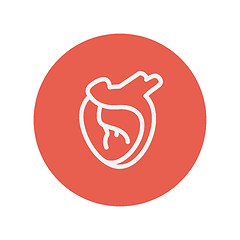 Image showing Human heart thin line icon