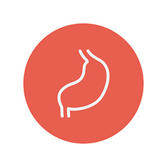 Image showing Stomach thin line icon