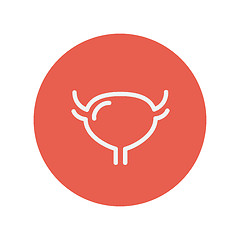 Image showing Uterus and ovaries thin line icon