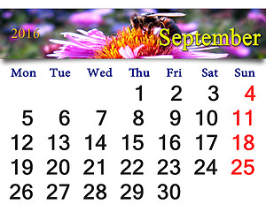 Image showing calendar for September 2016 with bee on pink asters