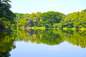 Image showing Clean lake in green spring summer forest. Blue sunny sky.