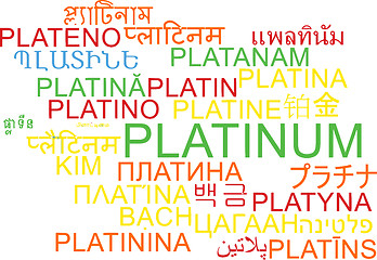 Image showing Platinum multilanguage wordcloud background concept