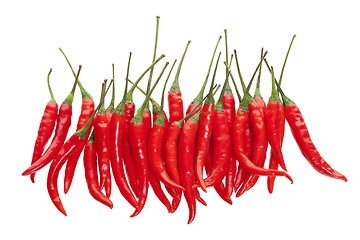 Image showing Red Chili Peppers