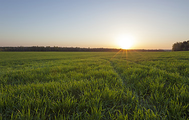 Image showing agriculture  