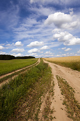 Image showing the rural road  