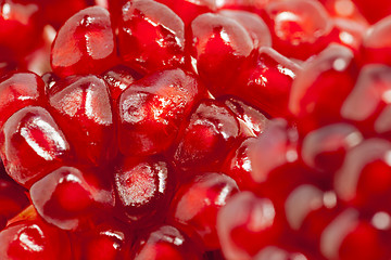 Image showing pomegranate  