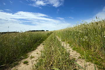 Image showing the rural road  