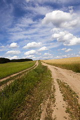 Image showing the rural road  