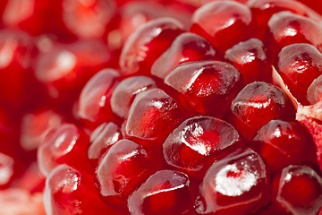 Image showing pomegranate  